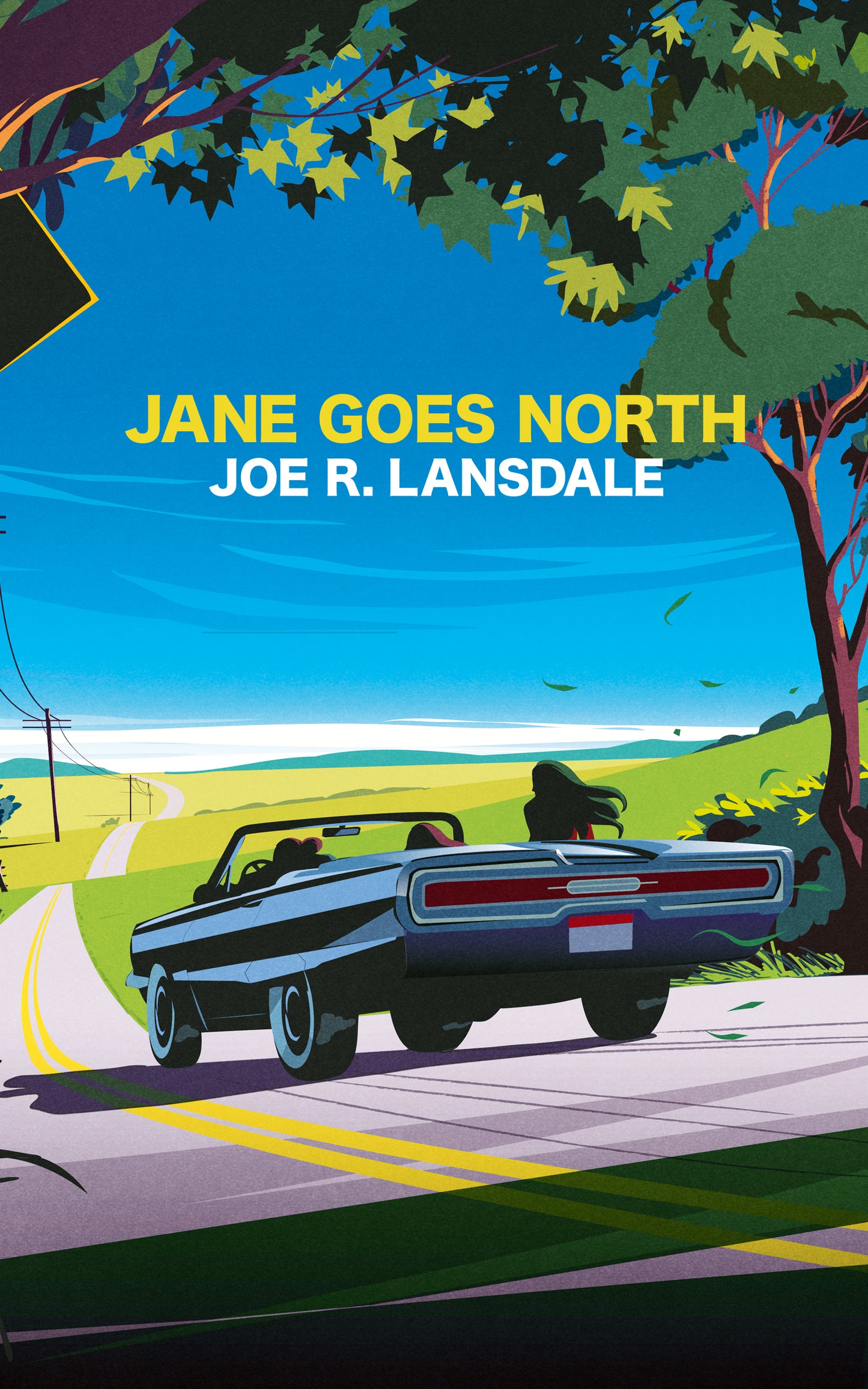 Jane Goes North